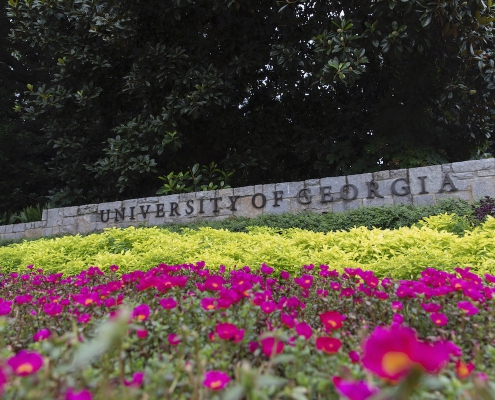Flower Beds Near the UGA Sign at Jackson and Broad